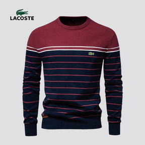 Striped Knit Sweater