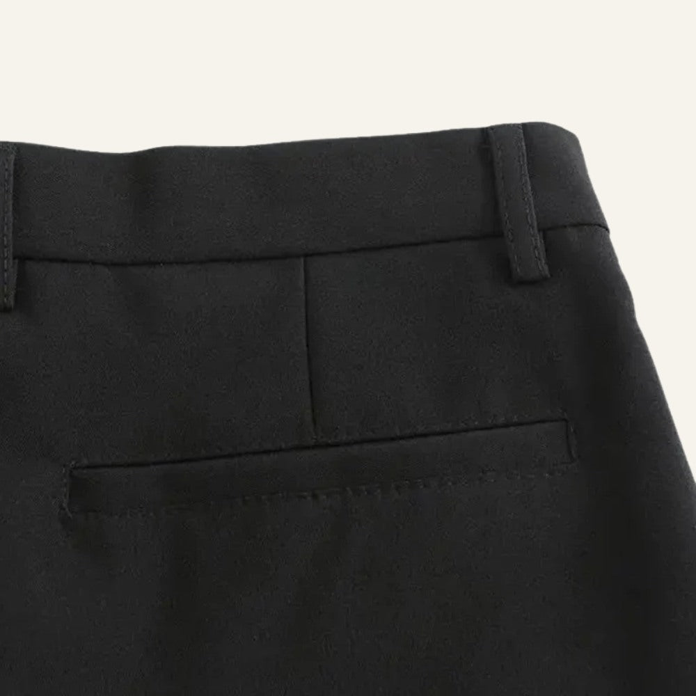 Darvon Men's Slim Old Money Anti-Wrinkle Pants