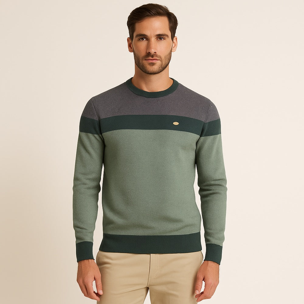 Sueter Masculino Pesson Elrik Verde
